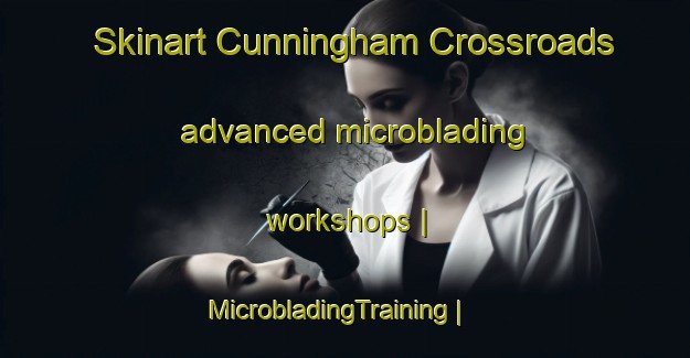 Skinart Cunningham Crossroads advanced microblading workshops | MicrobladingTraining | MicrobladingClasses | SkinartTraining-United States